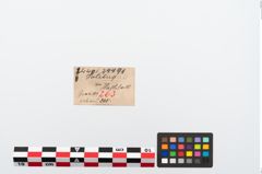 Etikett zu Bronzemehrkopfnadel (NHMW-PRAE-024491)